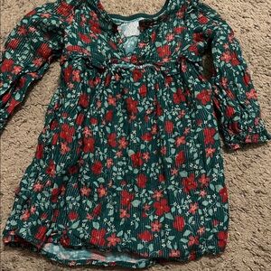 Cat & Jack Sparkly Green Tunic with Red Flower Print